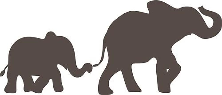 Mother and Baby Elephant