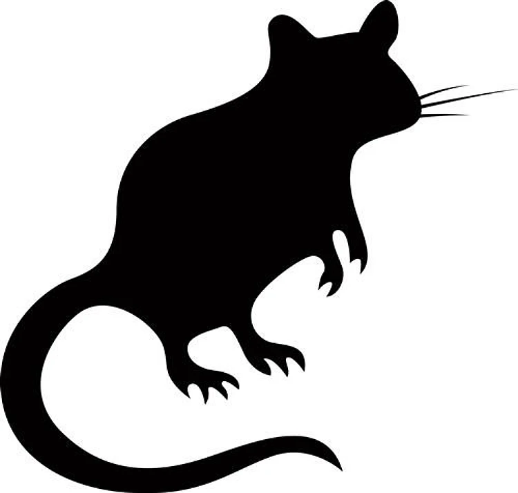 Rat Silhouette