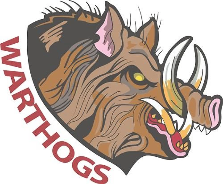 Team Warthog