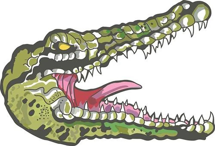 Alligator Head