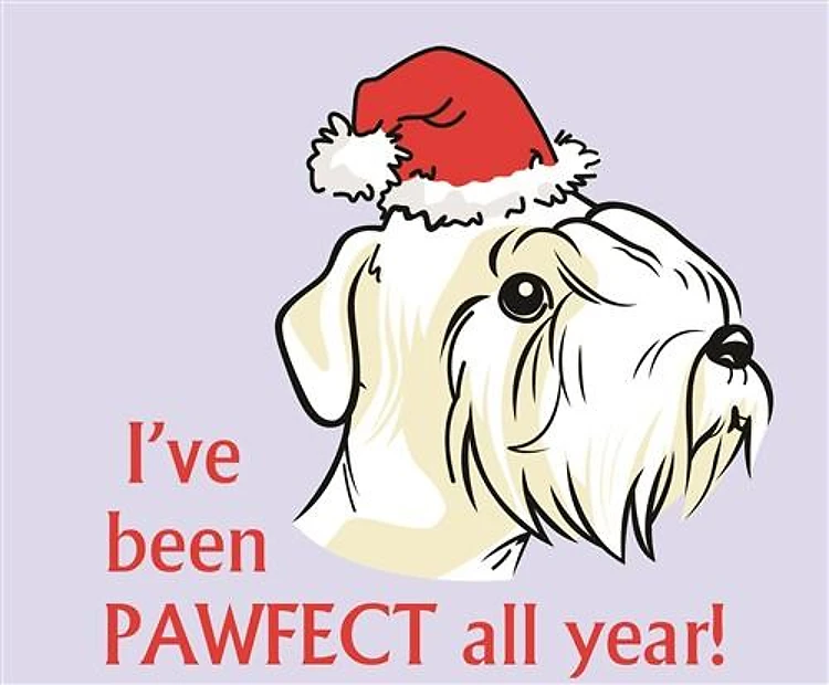 PAWFECT ALL YEAR
