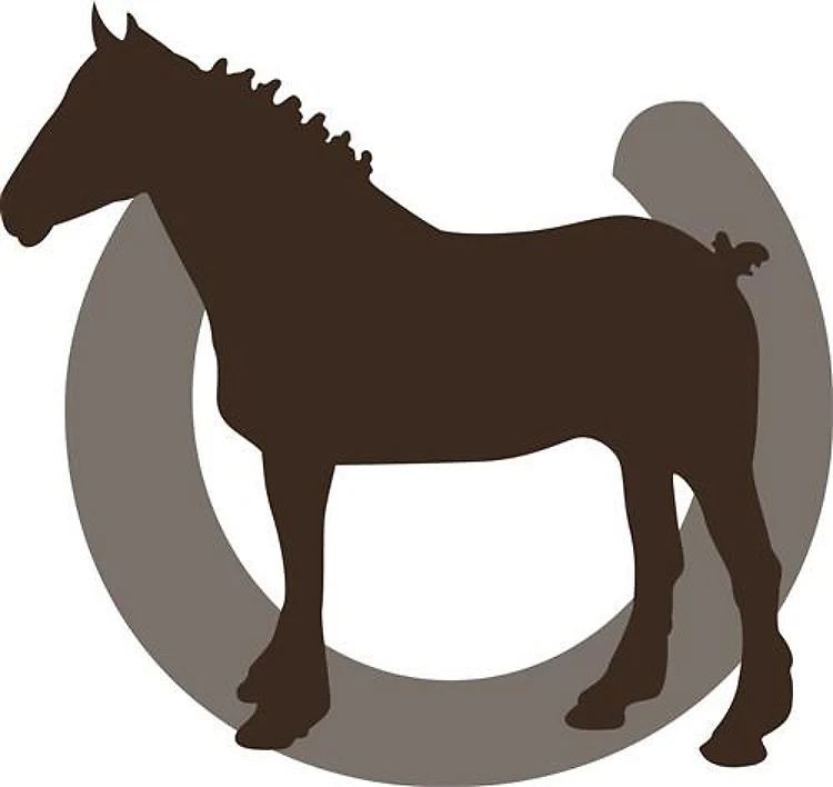 DRAFT HORSE AND HORSESHOE