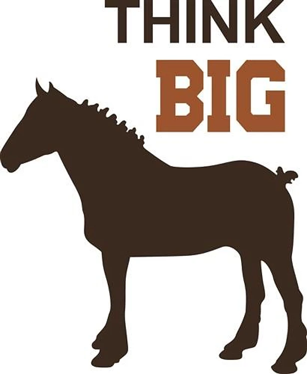 DRAFTHORSE THINK BIG