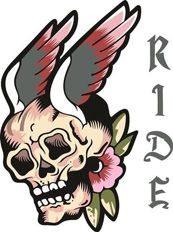 FLYING SKULL RIDE