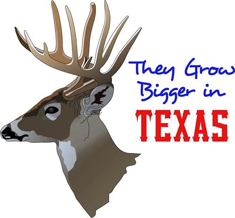 BIGGER IN TEXAS