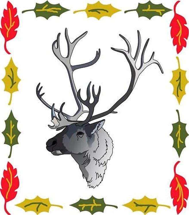 FRAMED CARIBOU