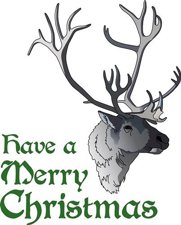 MERRY CHRISTMAS