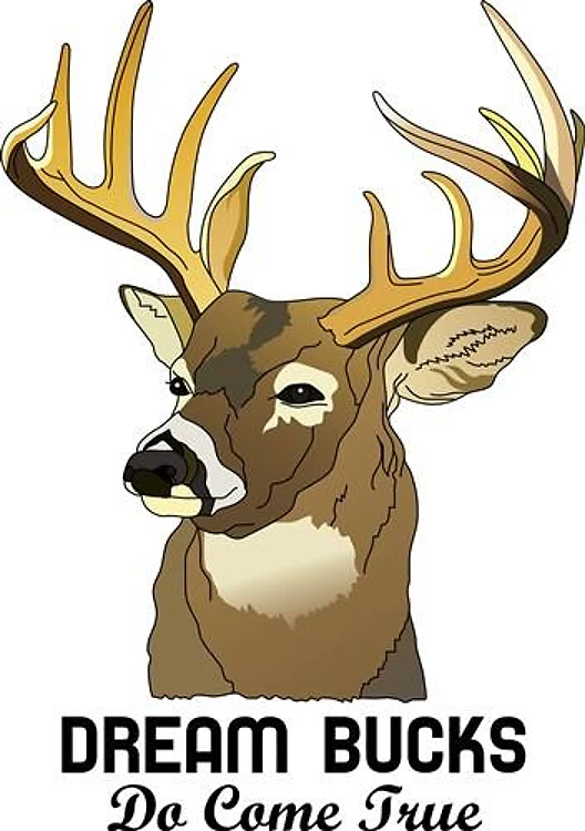 DREAM BUCKS