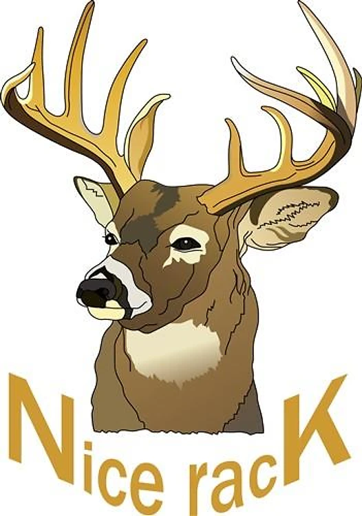 NICE RACK