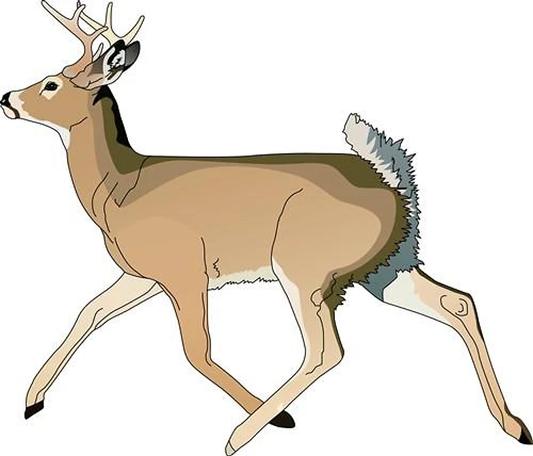 RUNNING DEER