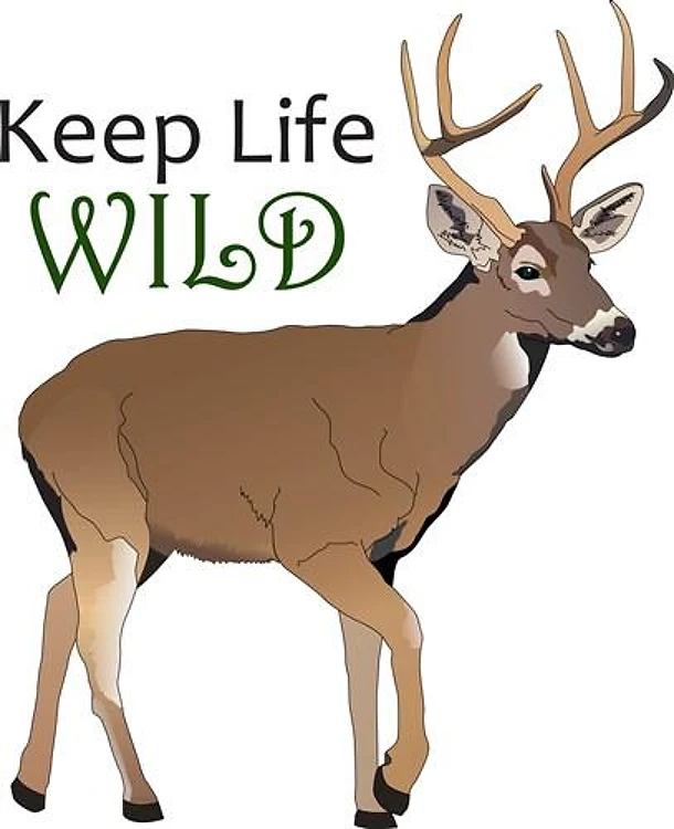 KEEP LIFE WILD