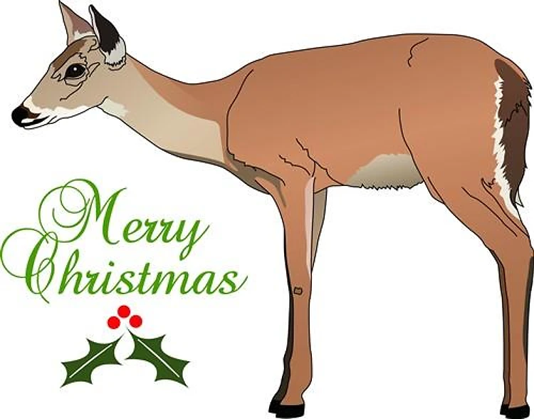 MERRY CHRISTMAS