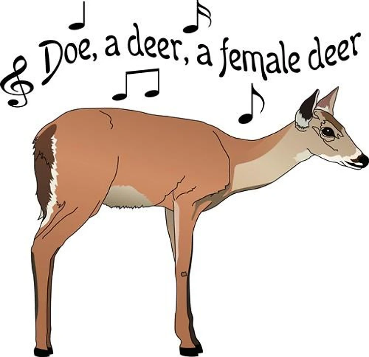 DOE A DEER