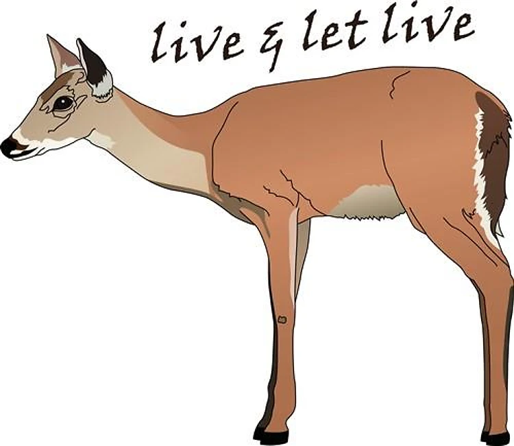 LIVE & LET LIVE