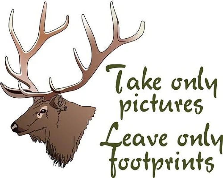 TAKE ONLY PICTURES
