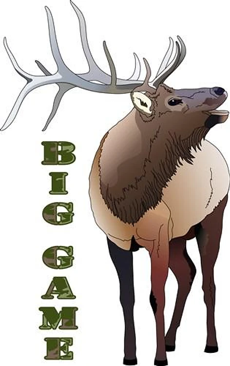 BIG GAME
