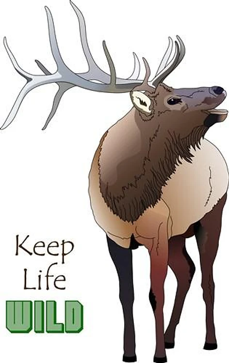 KEEP LIFE WILD