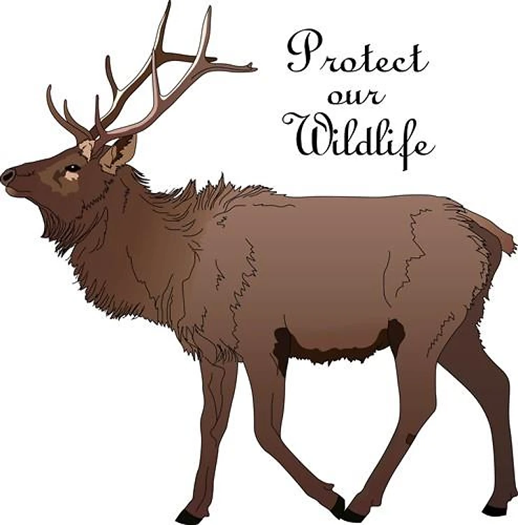 PROTECT OUR WILDLIFE