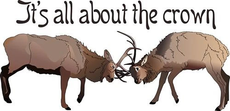 ITS ALL ABOUT THE CROWN