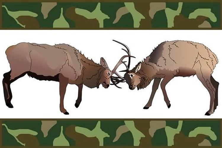 FIGHTING BUCKS