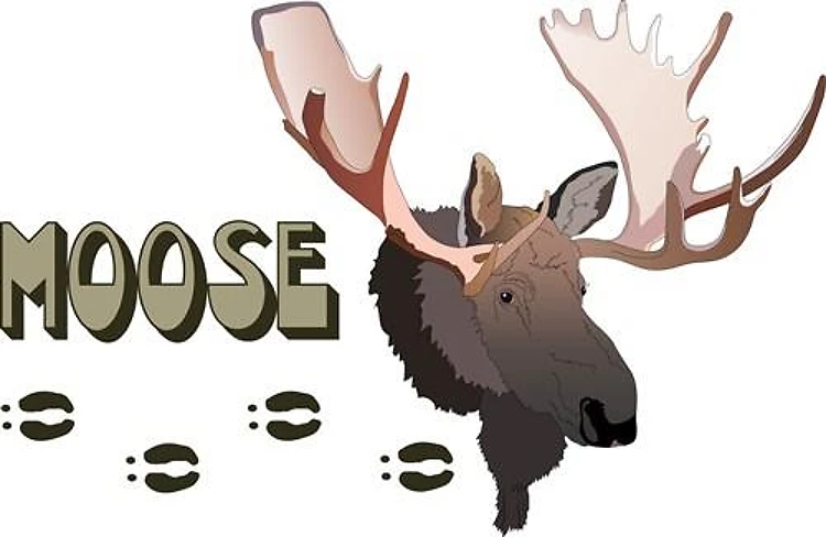 MOOSE