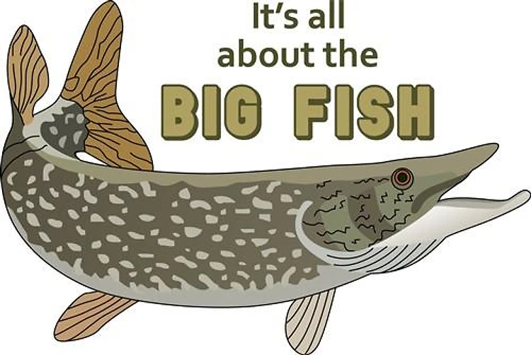 ALL ABOUT THE BIG FISH