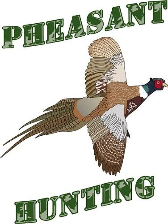 PHEASANT HUNTING
