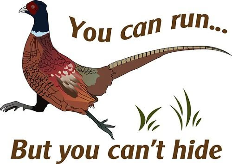 YOU CAN RUN...
