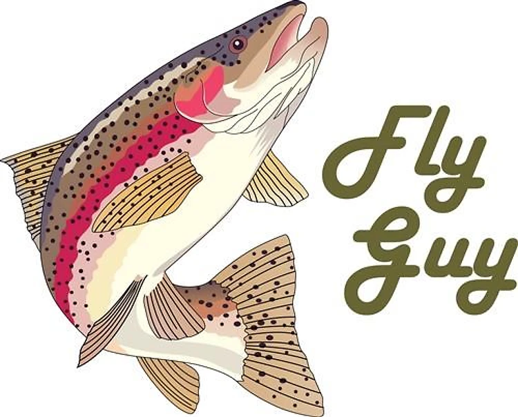 FLY GUY