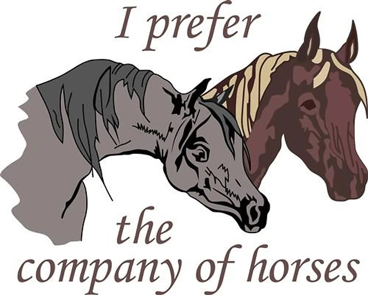 COMPANY OF HORSES