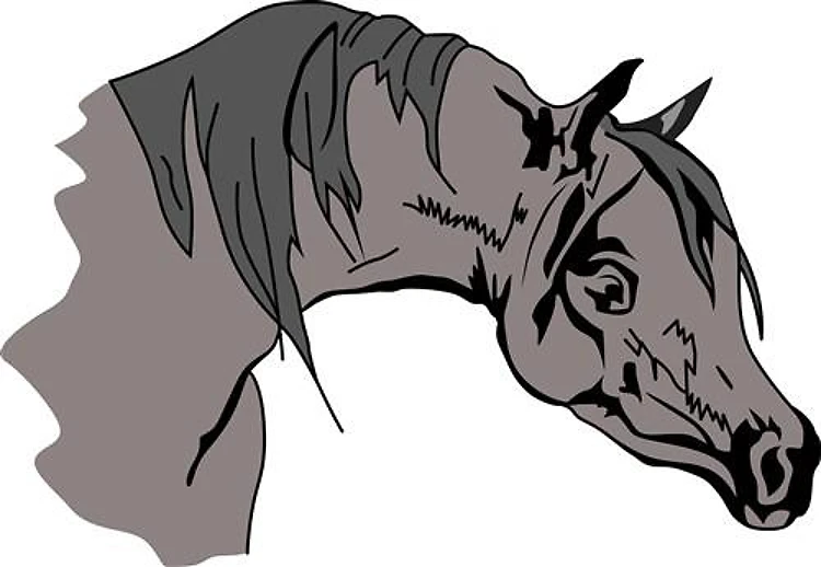 ARABIAN HORSE
