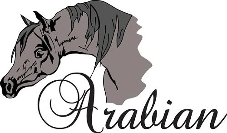 ARABIAN HORSE
