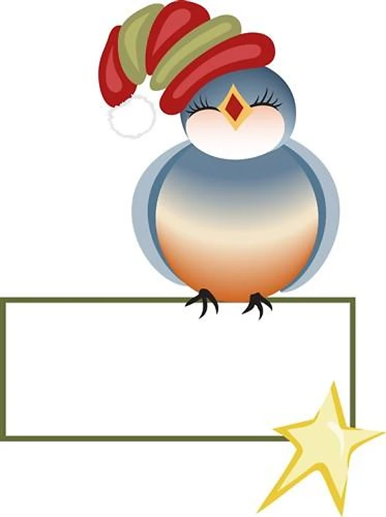 BLUEBIRD GIFT TAG