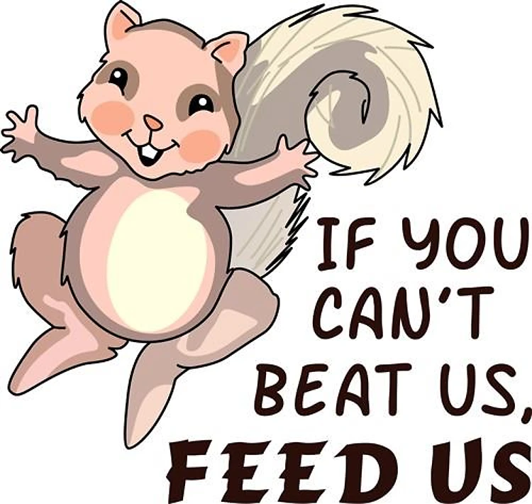 FEED THE SQUIRRELS