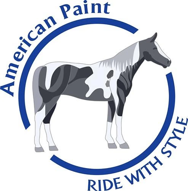 AMERICAN PAINT HORSE