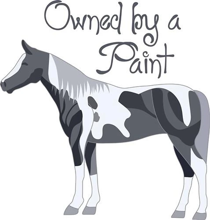 OWNED BY A PAINT HORSE