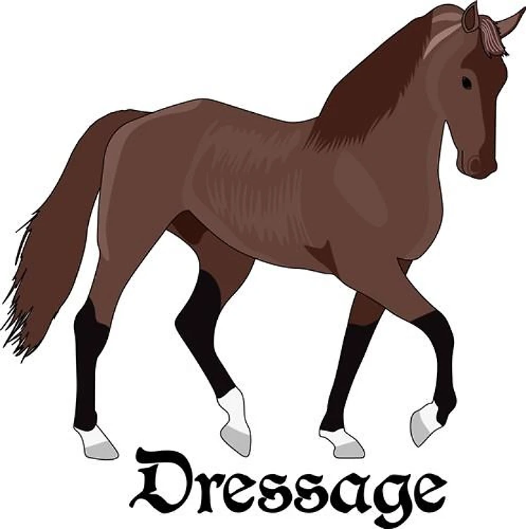 DRESSAGE HORSE