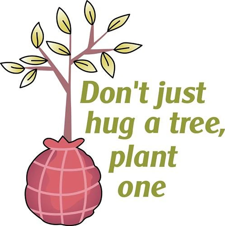PLANT A TREE