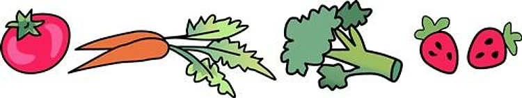 VEGETABLE BORDER