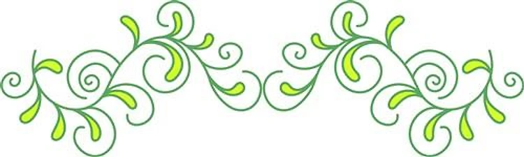 VINES BORDER