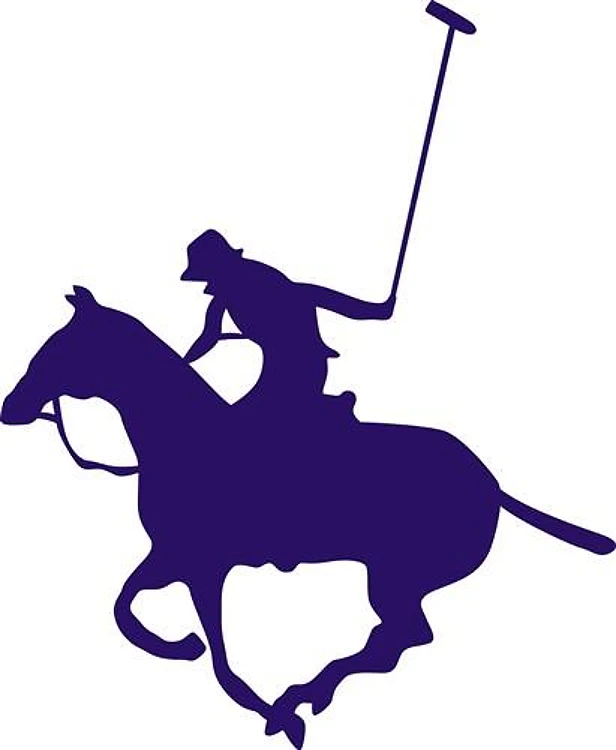 POLO PLAYER