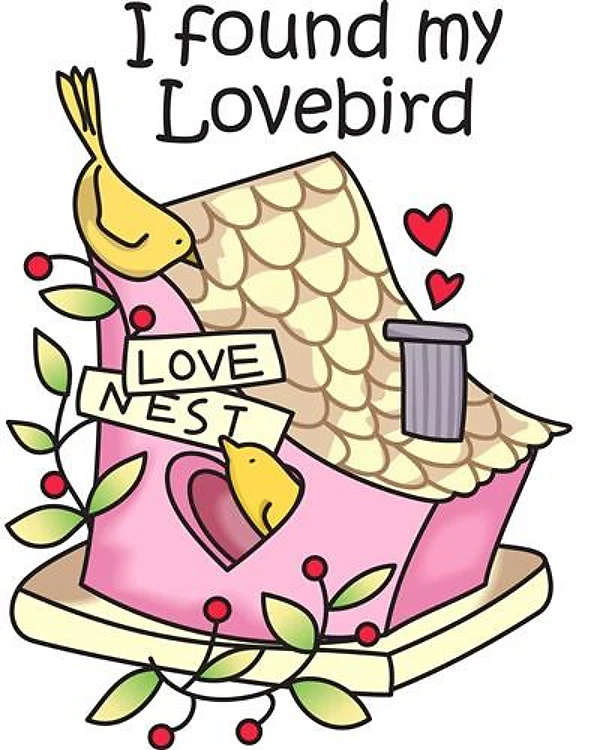 I FOUND MY LOVEBIRD