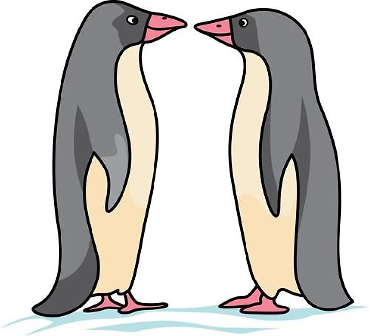 NOSE TO NOSE PENGUINS