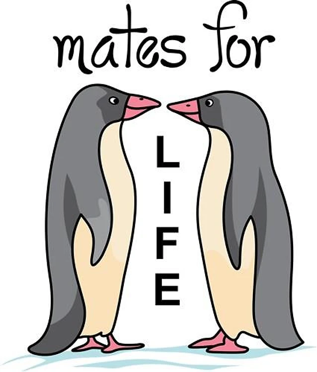 MATES FOR LIFE