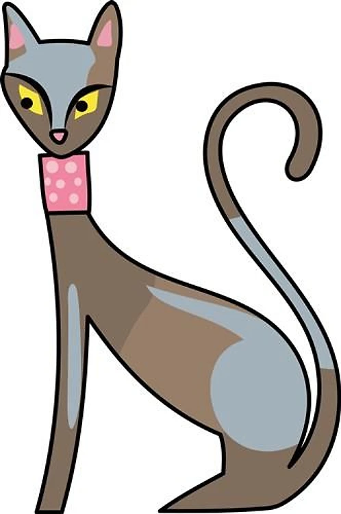 BLACK CAT
