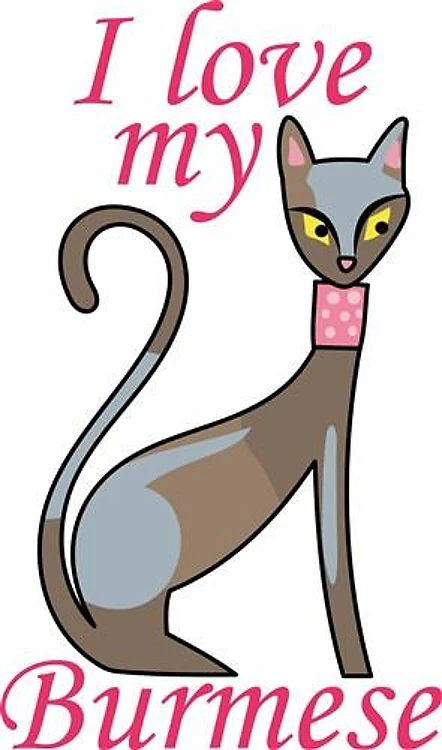 I LOVE MY BURMESE