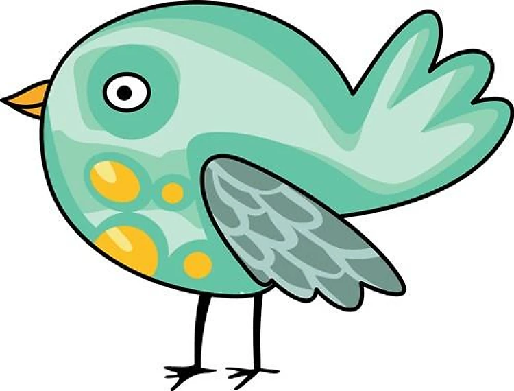 LITTLE BIRDIE