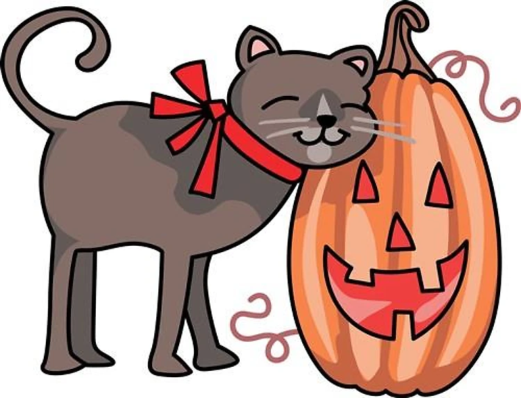 BLACK CAT AND PUMPKIN