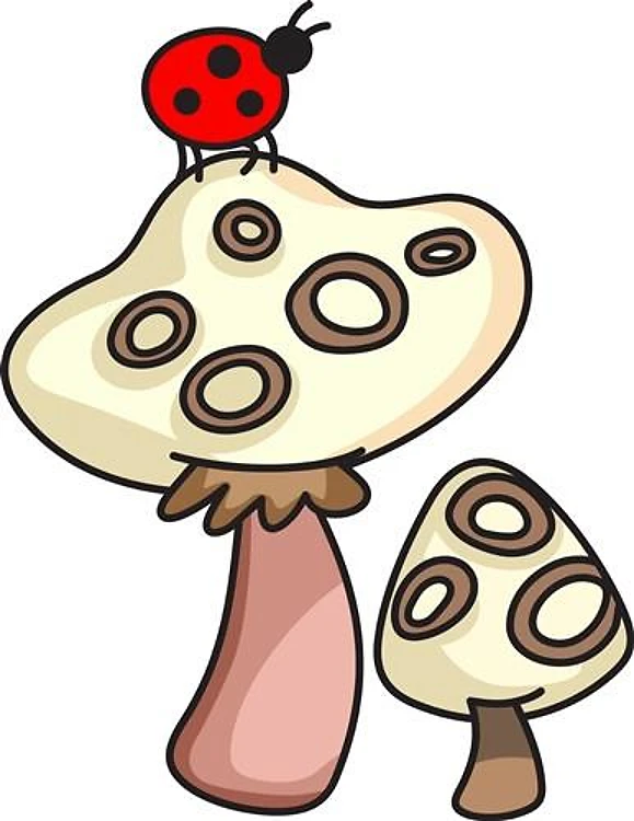 MUSHROOM WITH LADYBUG