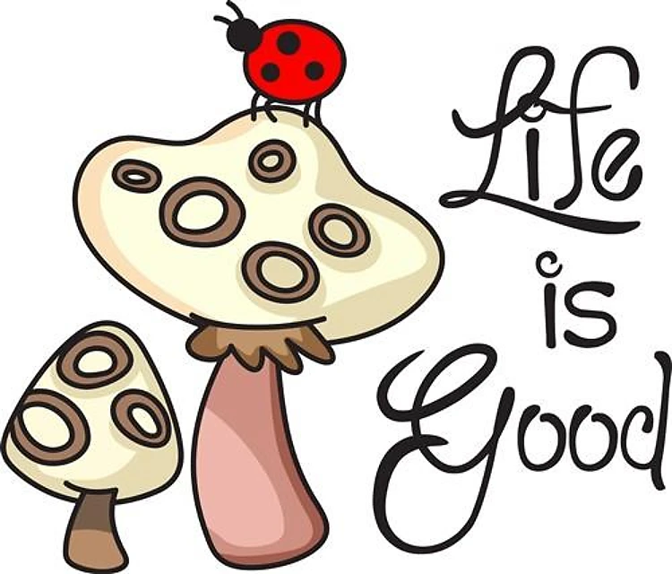 LIFE IS GOOD